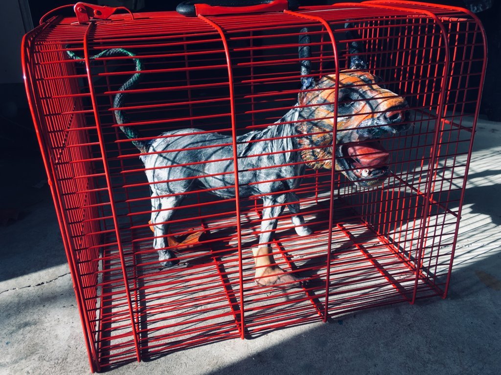 IMG_E7306 (FILEminimizer)