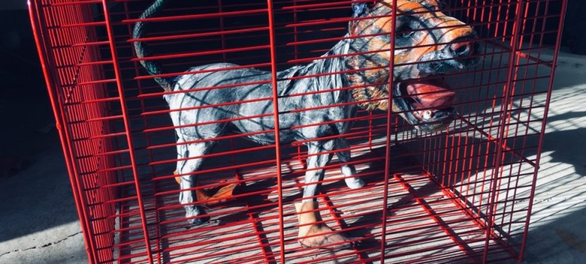 Bestiario immaginato